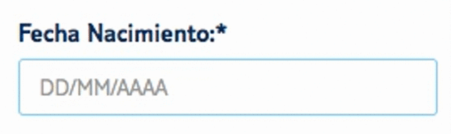 Caracteres de fecha formulario web